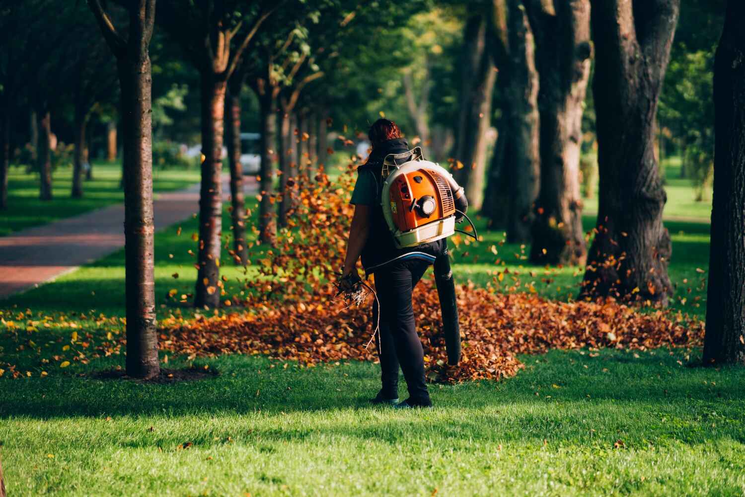  Norwood Young America, MN TreeGuard Tree Service Pros